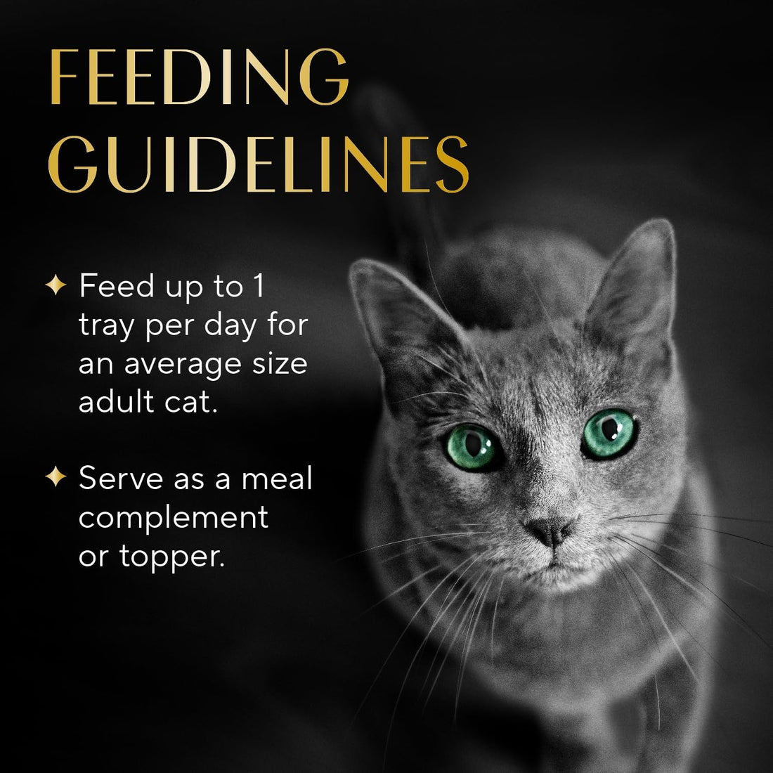 Sheba Selections Filets in Broth, Adult Cat Food Wet Recipe