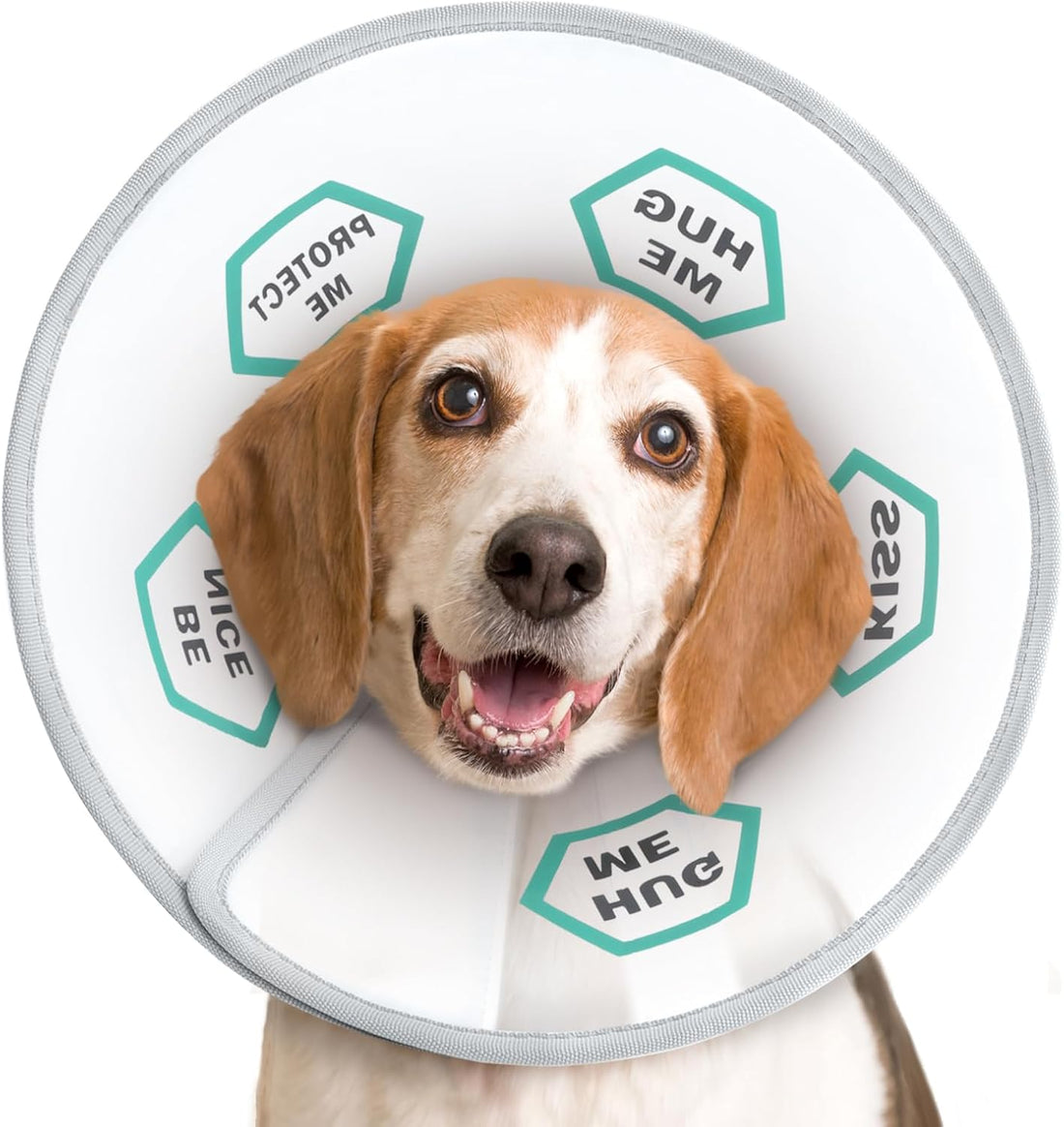 Supet Dog Cone Collar to Stop Licking