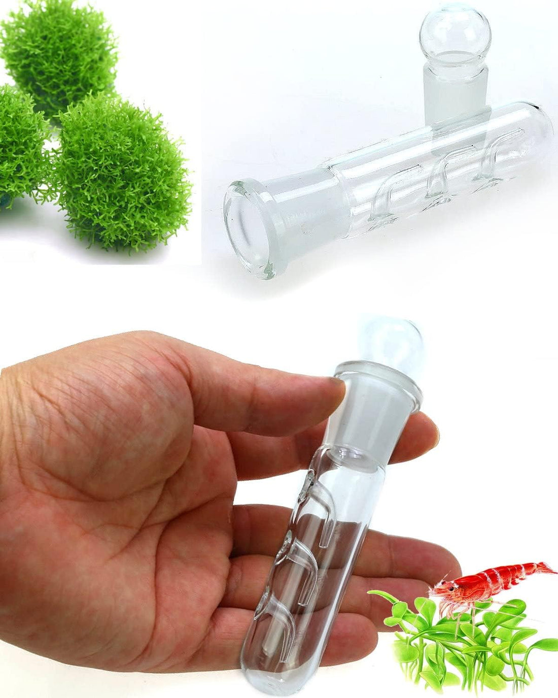 Planaria Trap Crystal Red Shrimp Tank Aquarium Bristle Worm Catcher