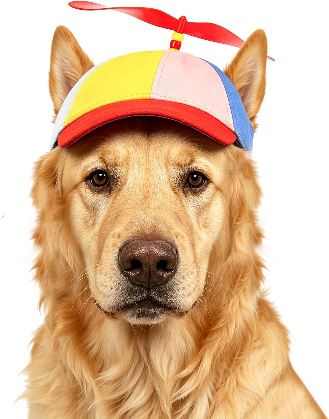 Propeller Baseball Cap for Big Dogs & Cats