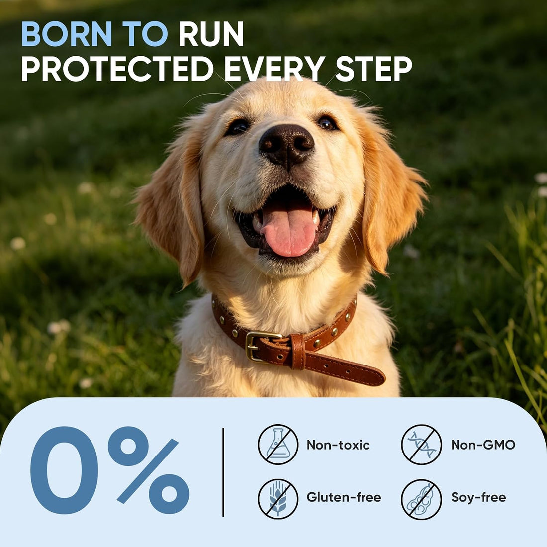 Dog Allergy Chews -,Highly palatable,Helps relieve itchy skin