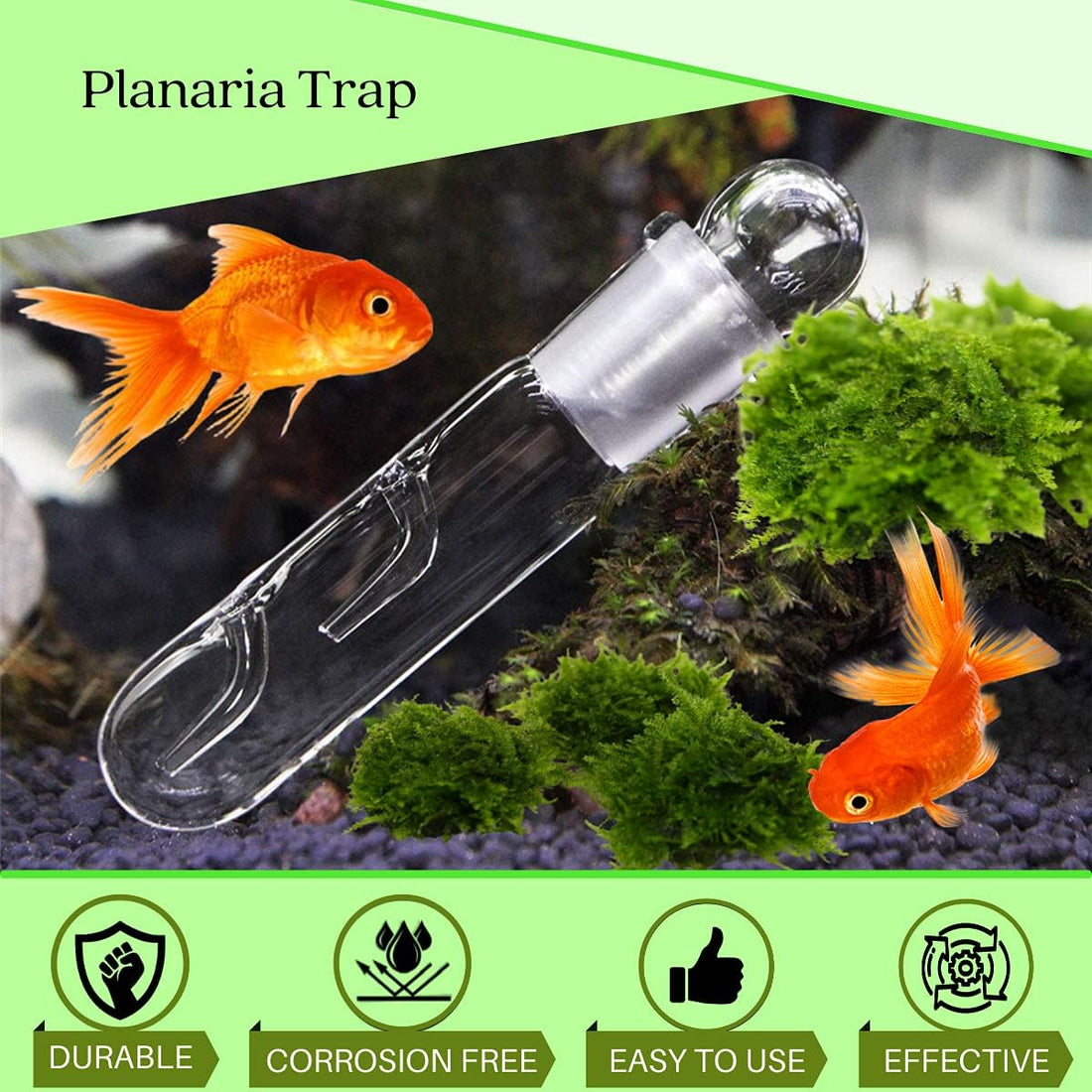 Planaria Trap Crystal Red Shrimp Tank Aquarium Bristle Worm Catcher