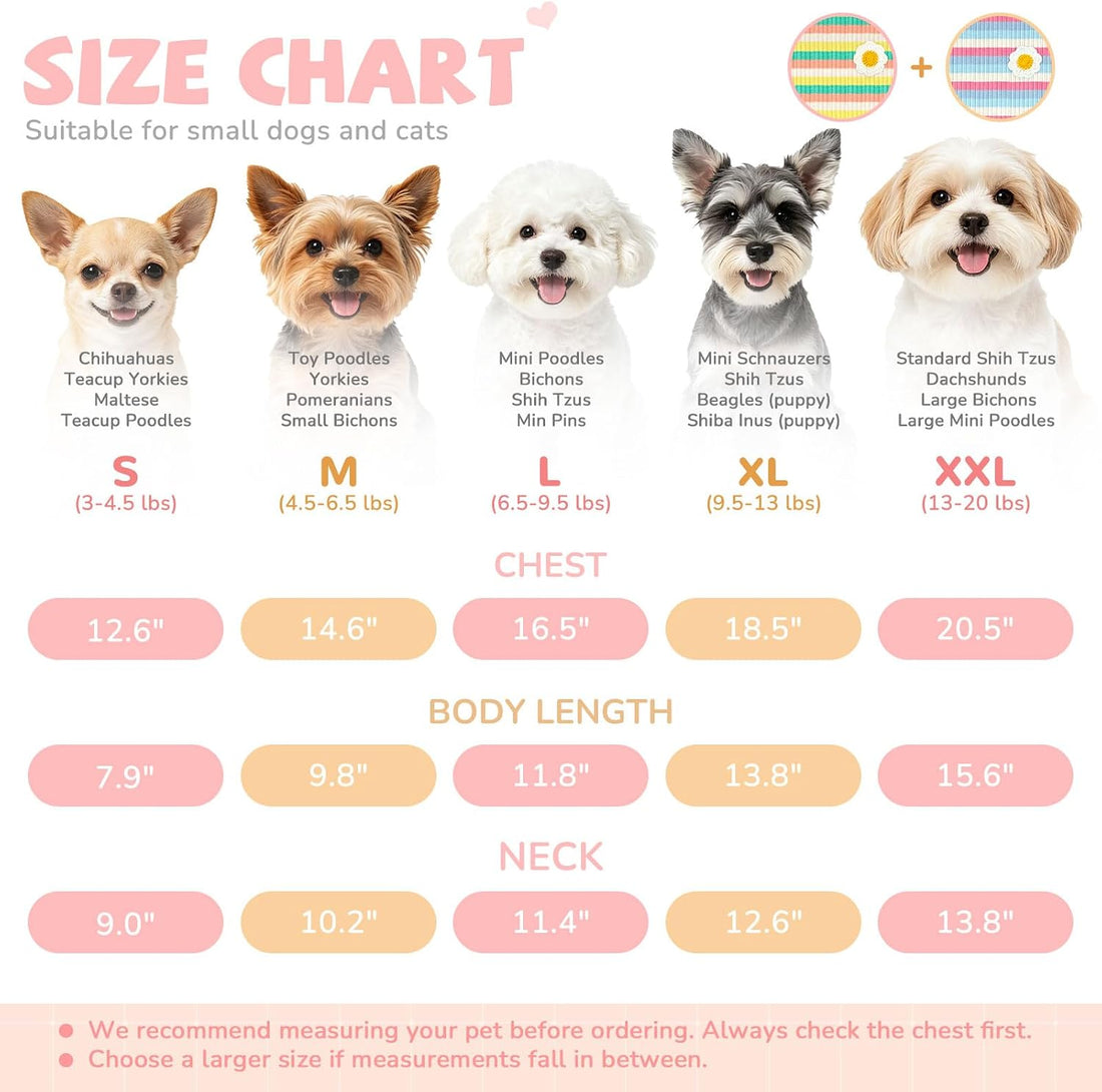 XGDMEIL 2 Pack Cute Striped Small Dog T Shirts Soft Cotton Girl Dog