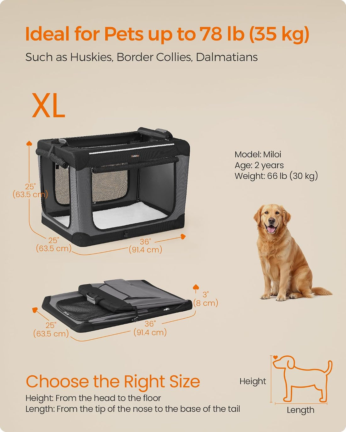 Feandrea Collapsible Dog Crate