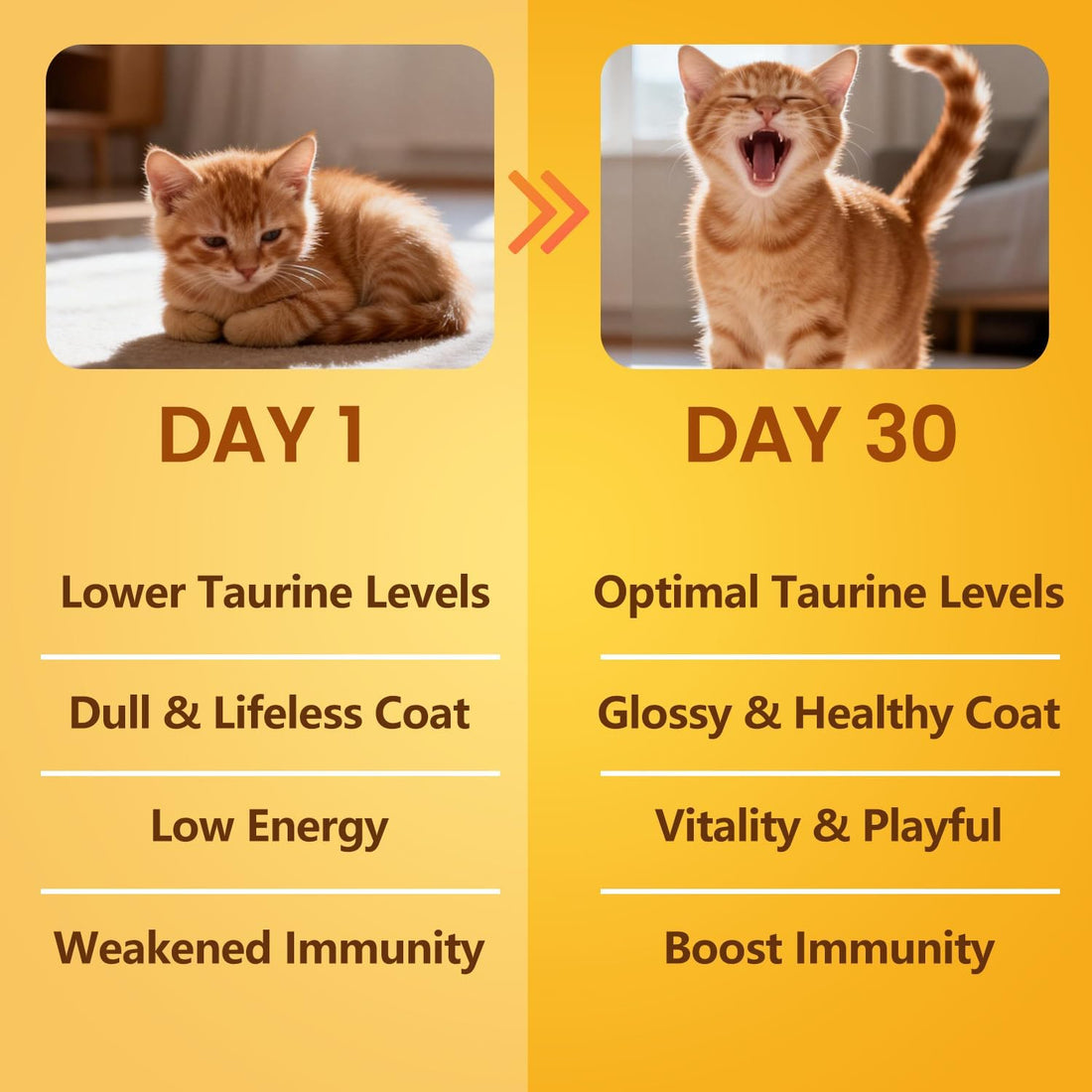 Pure Taurine for Cats Taurine Powder Supplement for Kitty Supports