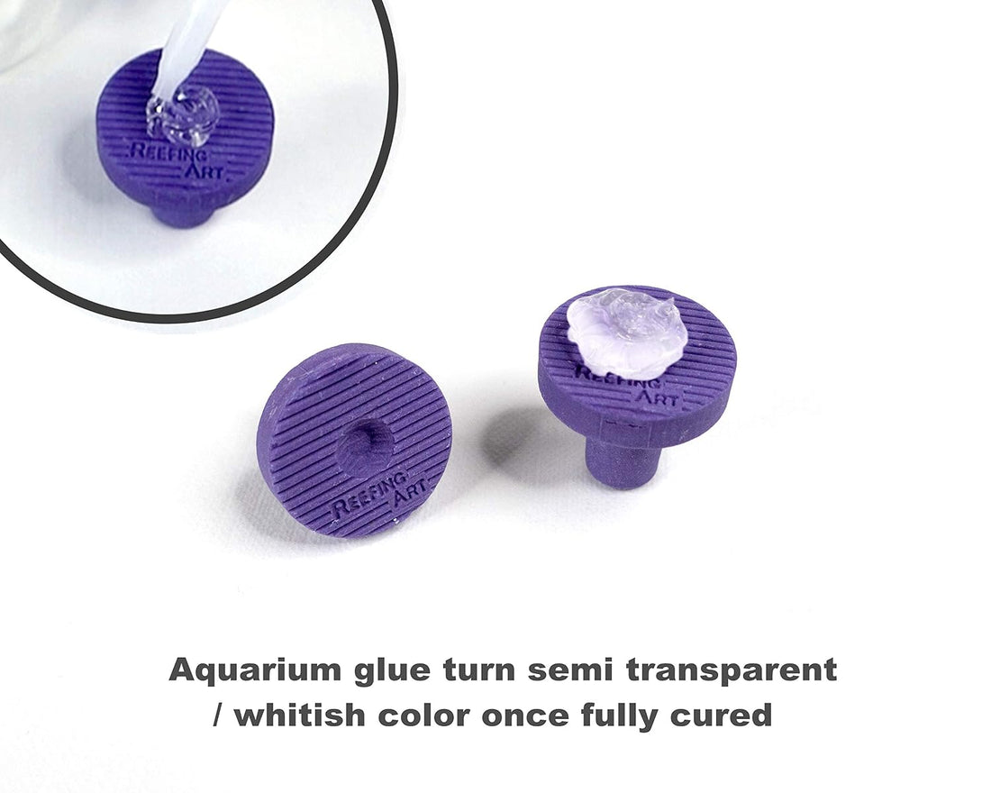 Aquarium Glue Clear for Plants Corals aquascaping Instant Aquarium