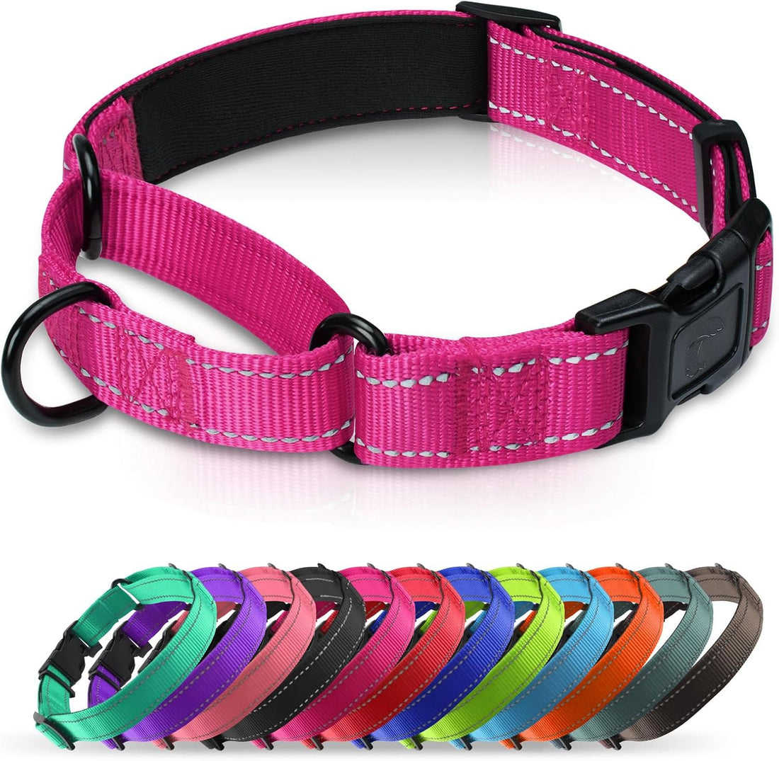 Padded Martingale Collar for Medium Dogs, Quick Release Buckle