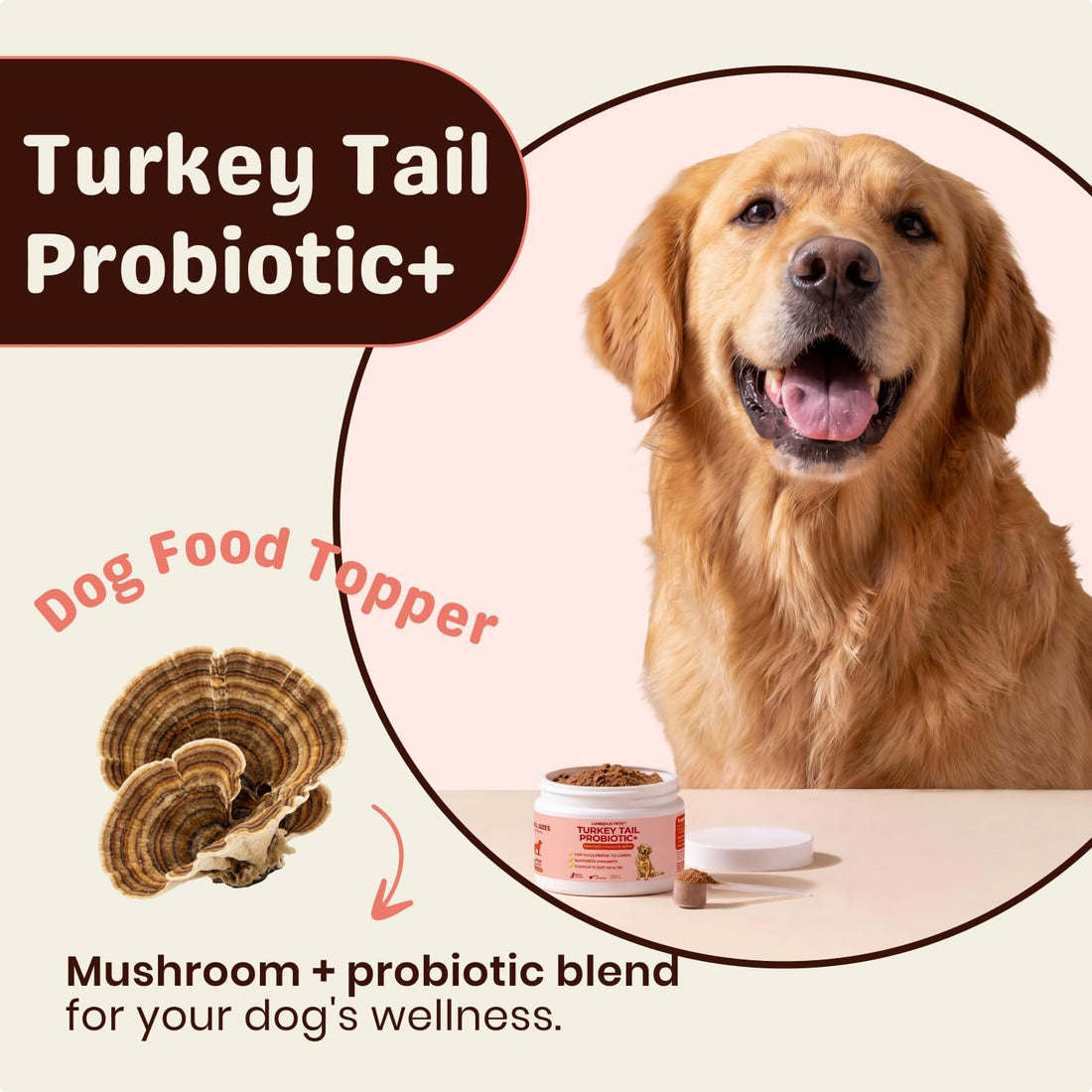 Turkey Tail Mushroom for Dogs
