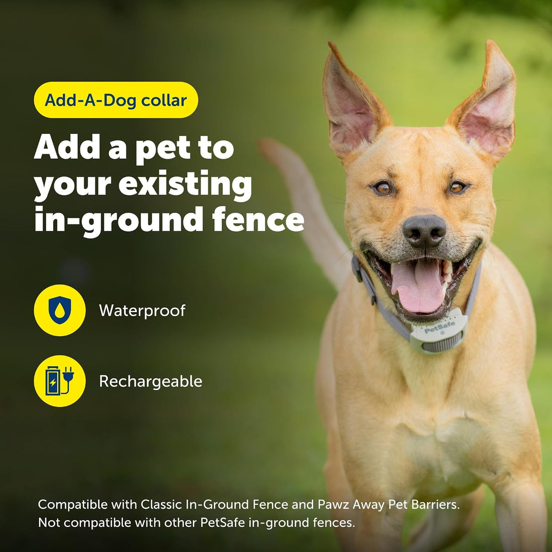 PetSafe Classic In-Ground Fence Collar