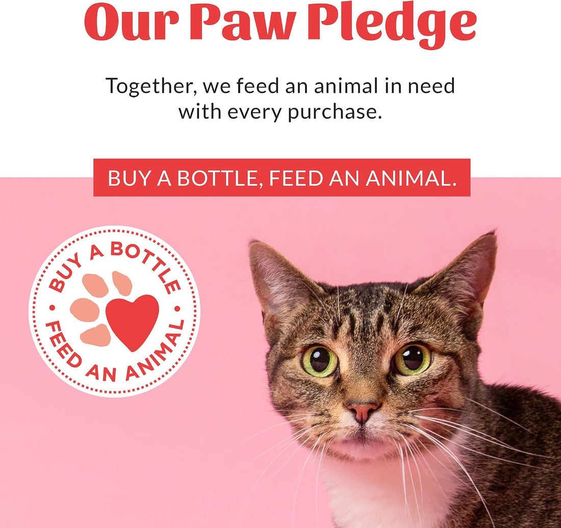 SKOUT'S HONOR Probiotic Cat Shampoo & Conditioner with Avocado Oil