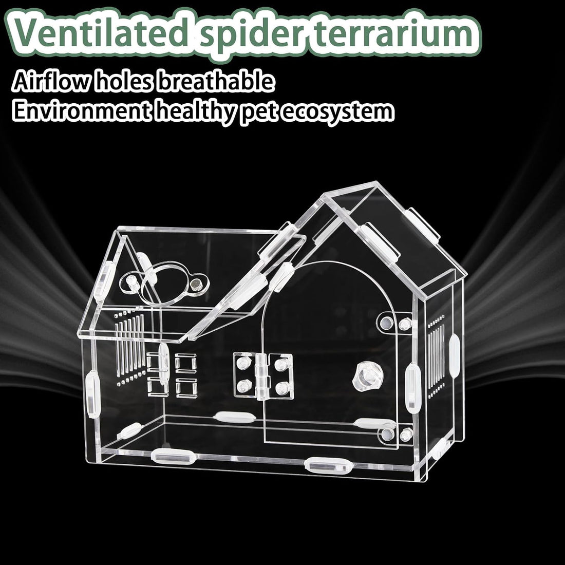 Acrylic Jumping Spider Enclosure House-Shaped Terrarium