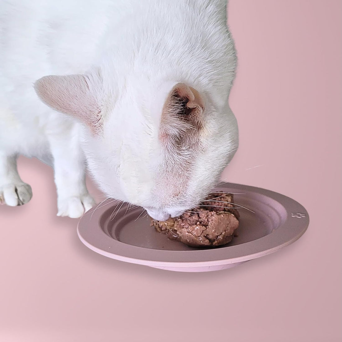 EcoLeo Whisker Friendly Cat Food Dish, Platinum Silicone
