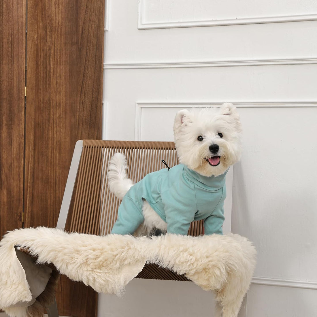 LeleTail Recovery Suit for Small Medium Large Dogs