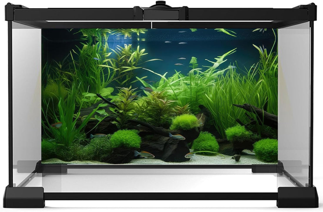 Aquarium Background Diverse Collection of Aquatic Plants Seagrasses