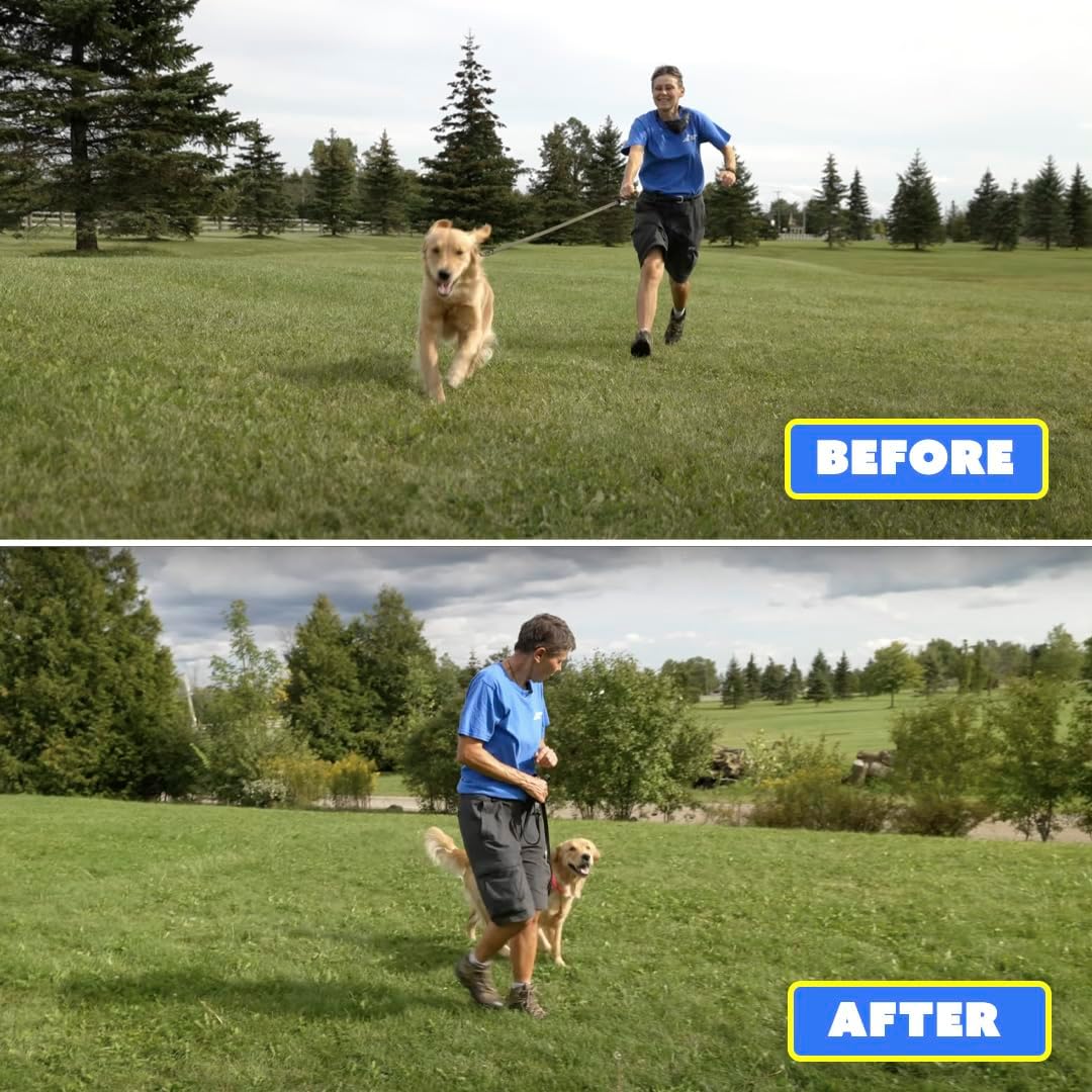 Barks No More Type-C Rechargeable Dog Bark Deterrent & Training Device
