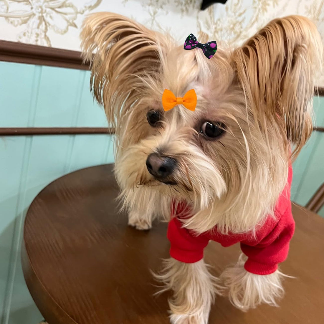 JUCCPUL Dog Hair Bows Cute Puppy Dog Bowknot Hair Ties Bulk