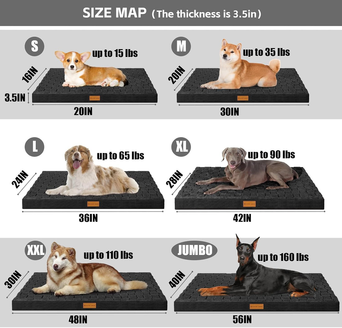 Patas Lague Orthopedic Dog Bed Large Sized Dog 36''X24''