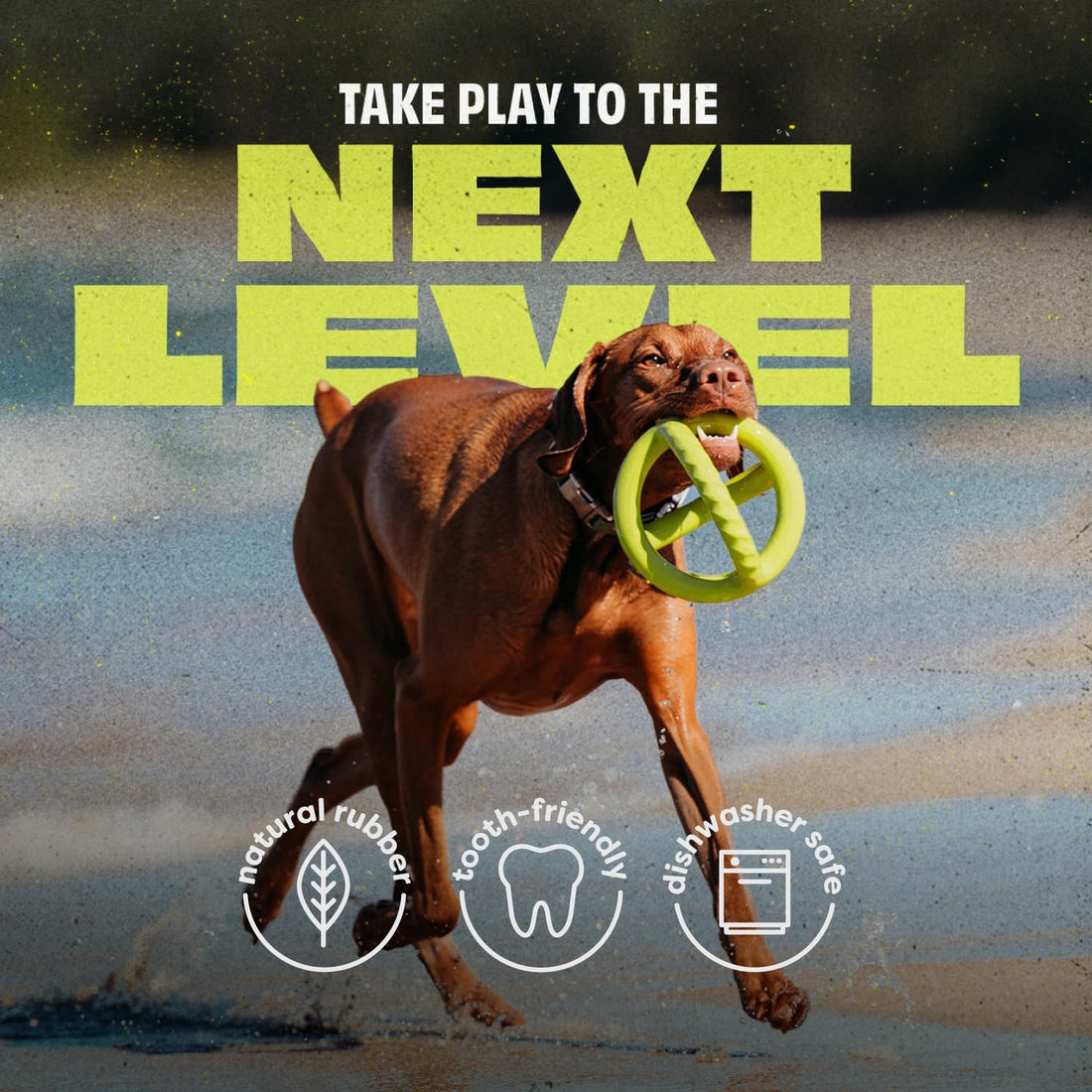 Benebone Natural Rubber Tug Interactive Dog Toy