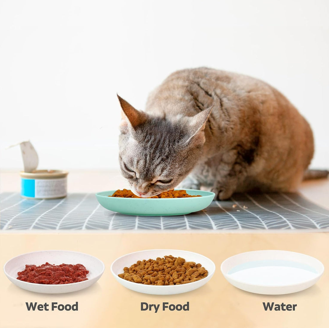 GENLGE 8 Pack Cat Bowls, Cat Food Bowl