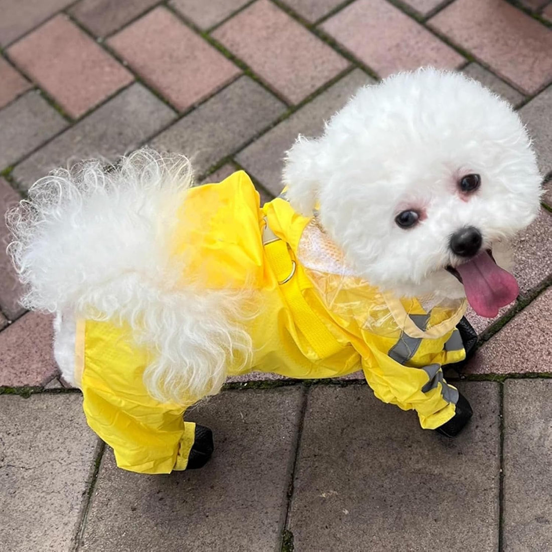 Waterproof Dog Raincoat,Full Coverage 4 Legs Dog Rain Jacket