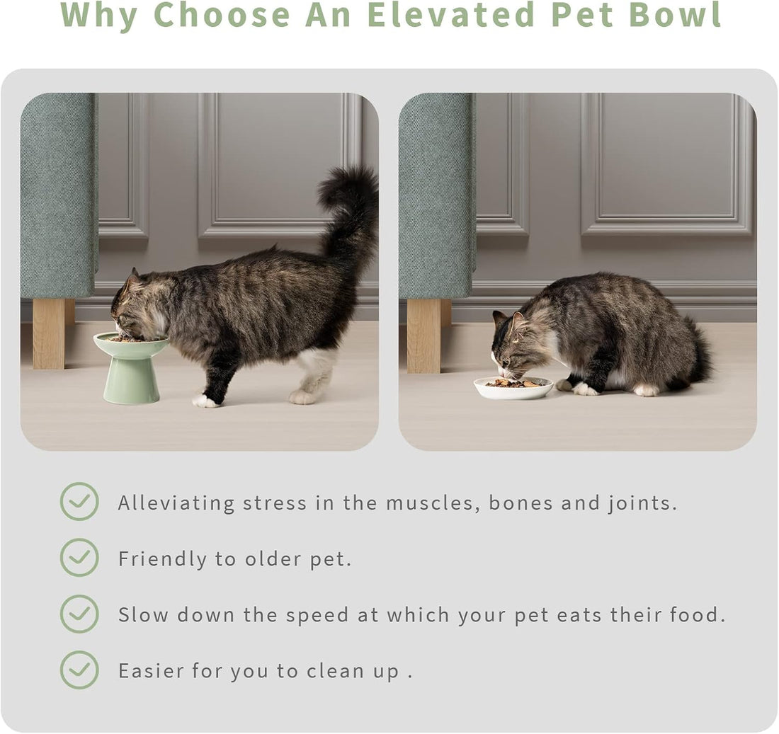 CEEFU 2 Elevated Ceramic Cat Bowls Extra Wide for Food & Water