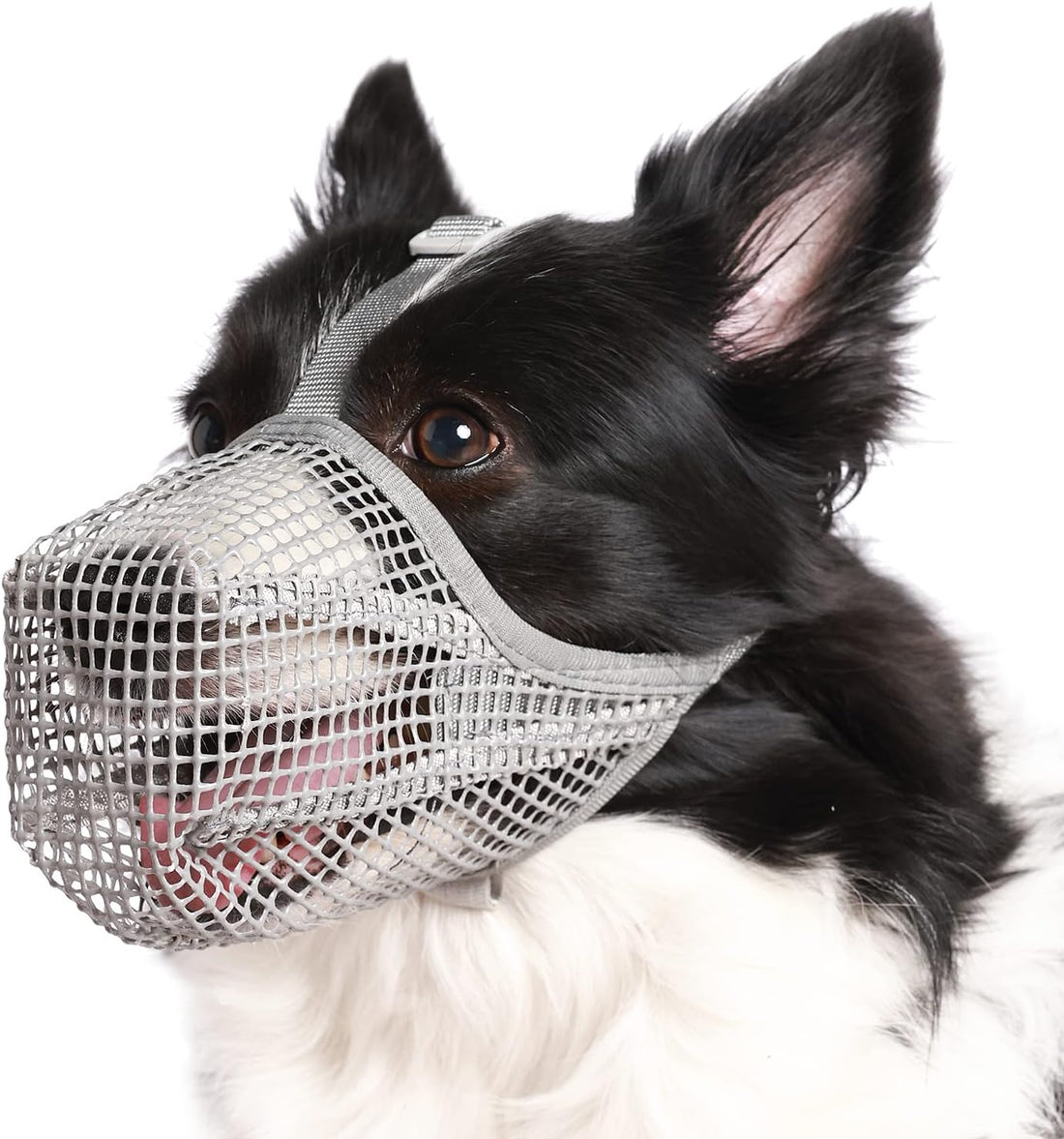 Crazy Felix Mesh Covered Dog Muzzle for Small Medium Large Dog Anti