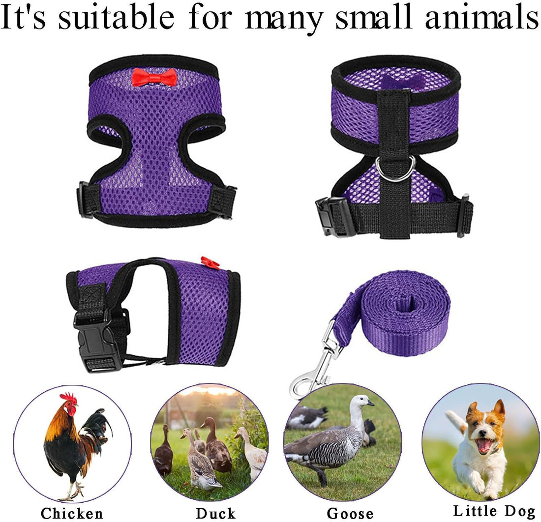 Adjustable Chicken Harness and Leash