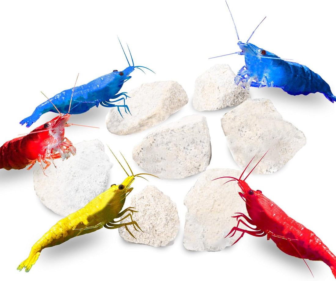 JOR Calcium Rocks for Shrimps, Color Enhancing Breeding Hideout