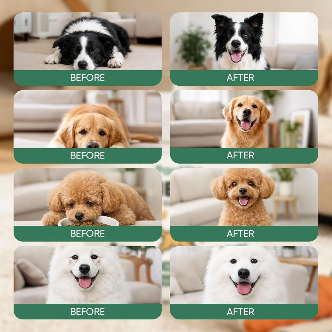 PawVita Pure Taurine Powder, Taurine Supplement for Dogs
