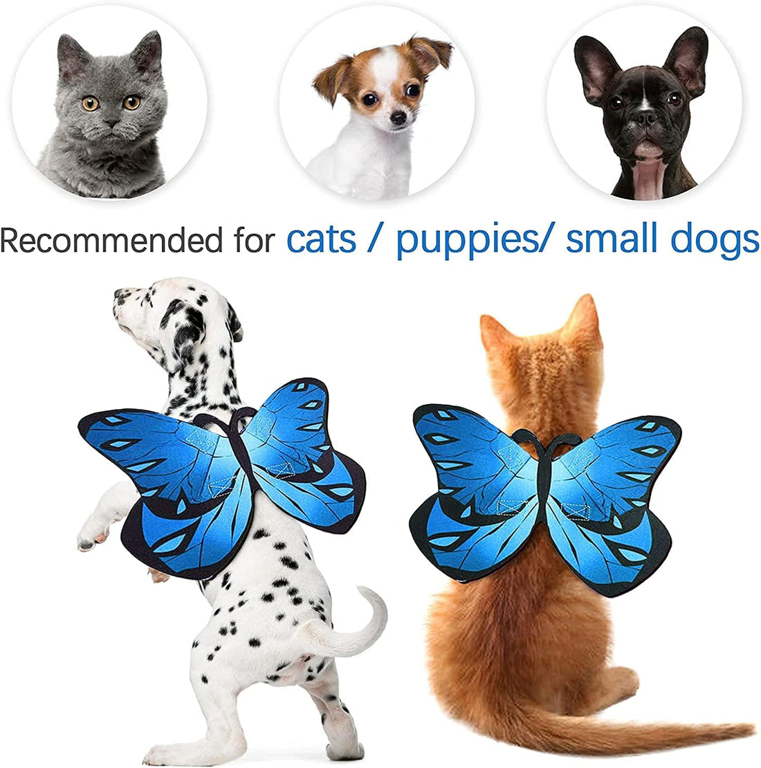 Cat Dog Butterfly Costume Wings for Halloween Party Decoration