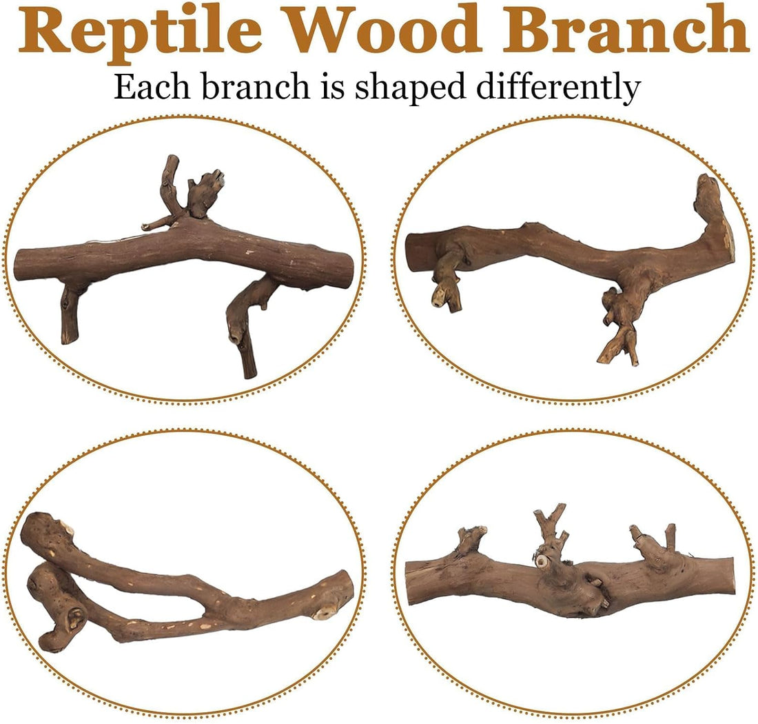 2PCS Reptile Wood Branches Decor,Snake Climbing Branch Tree Trunk