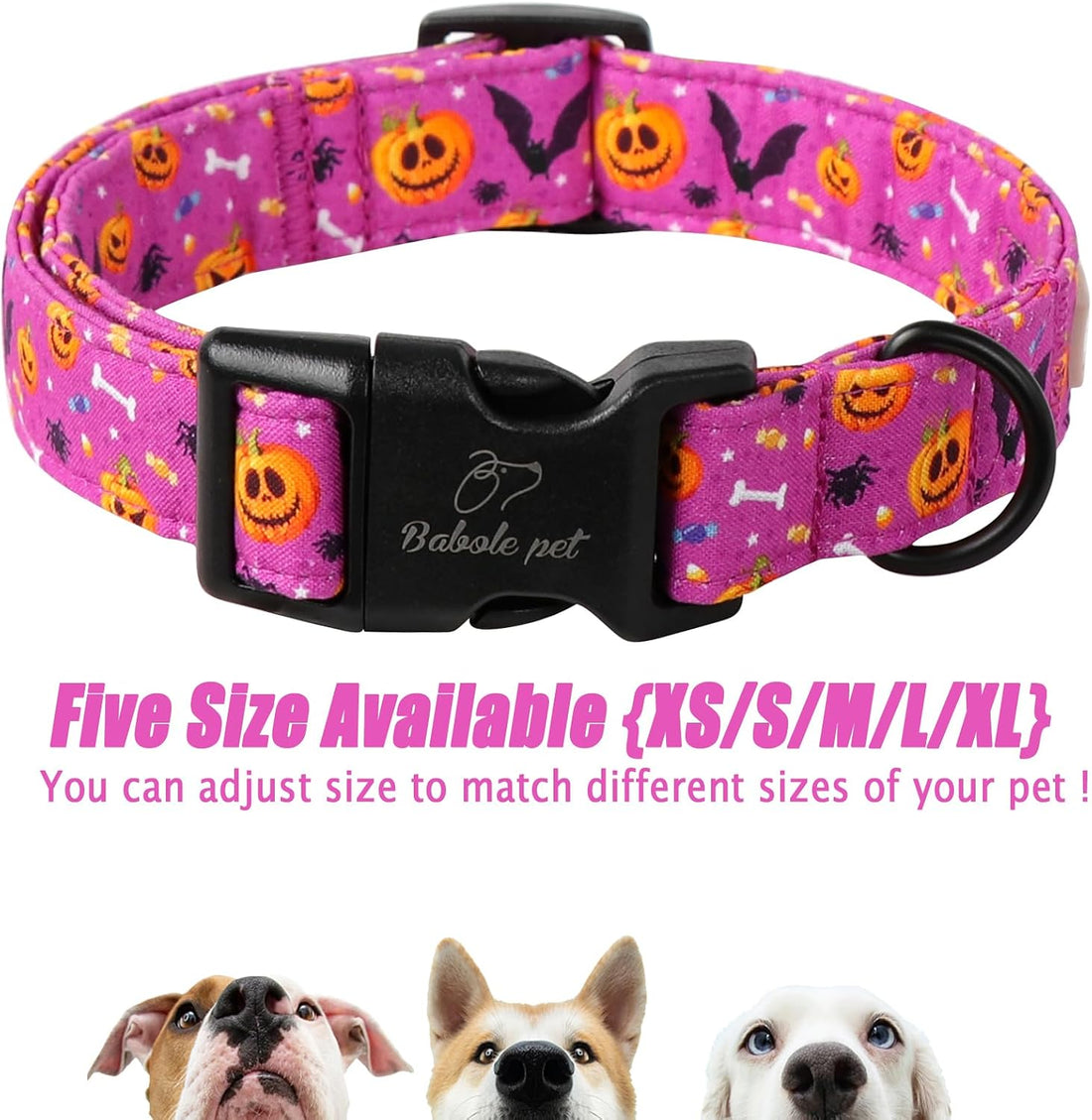 Halloween Dog Collar, Purple Pumpkin Bat Print Puppy Collar