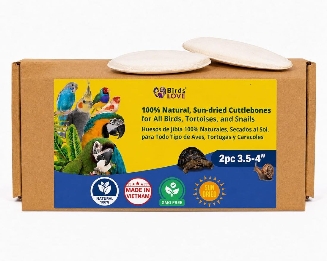 Birds LOVE 3.5-4โณ Cuttlebone for Birds