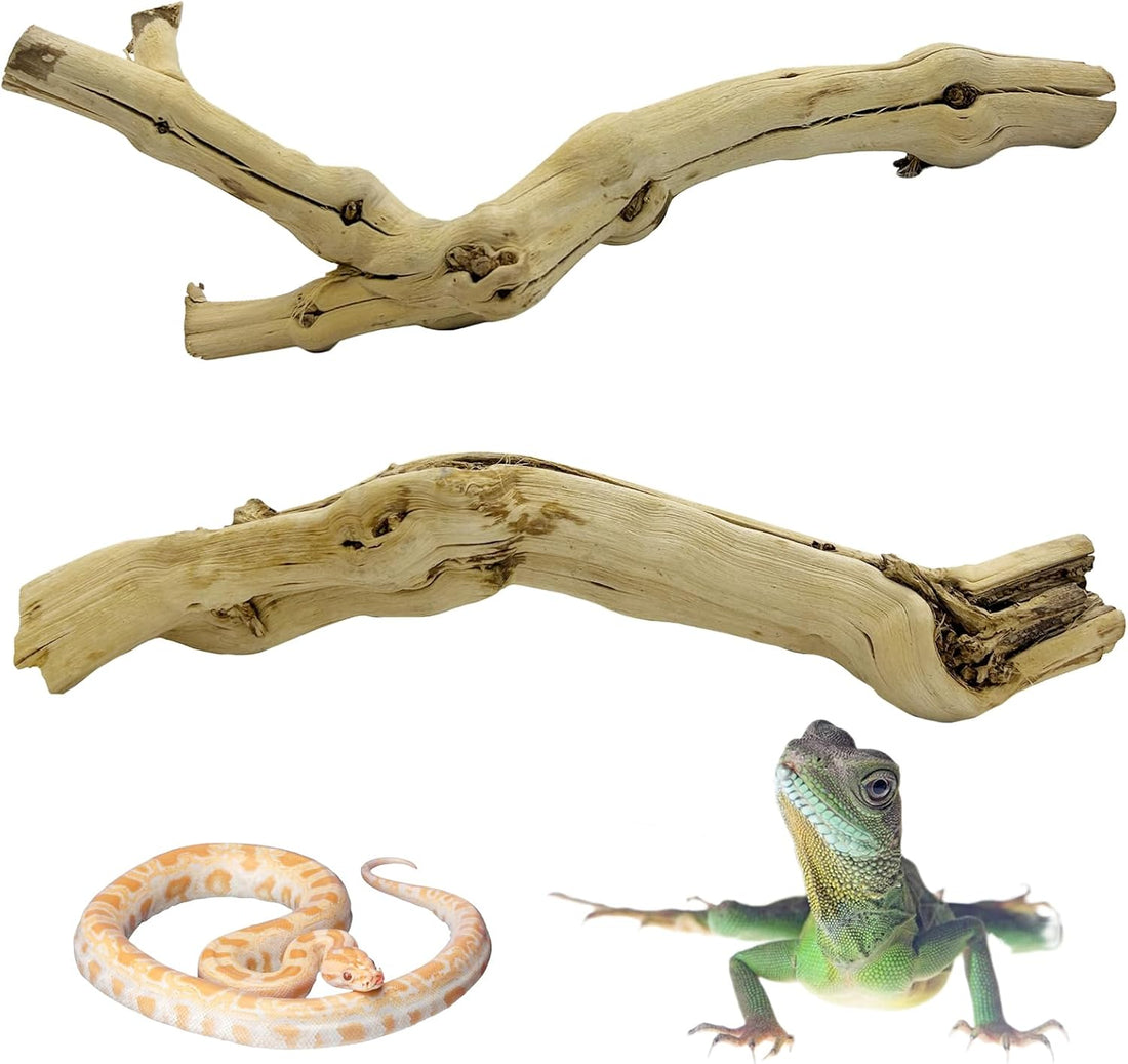 Snake Climbing Branch Wood Enclosure Decor Terrarium Logs