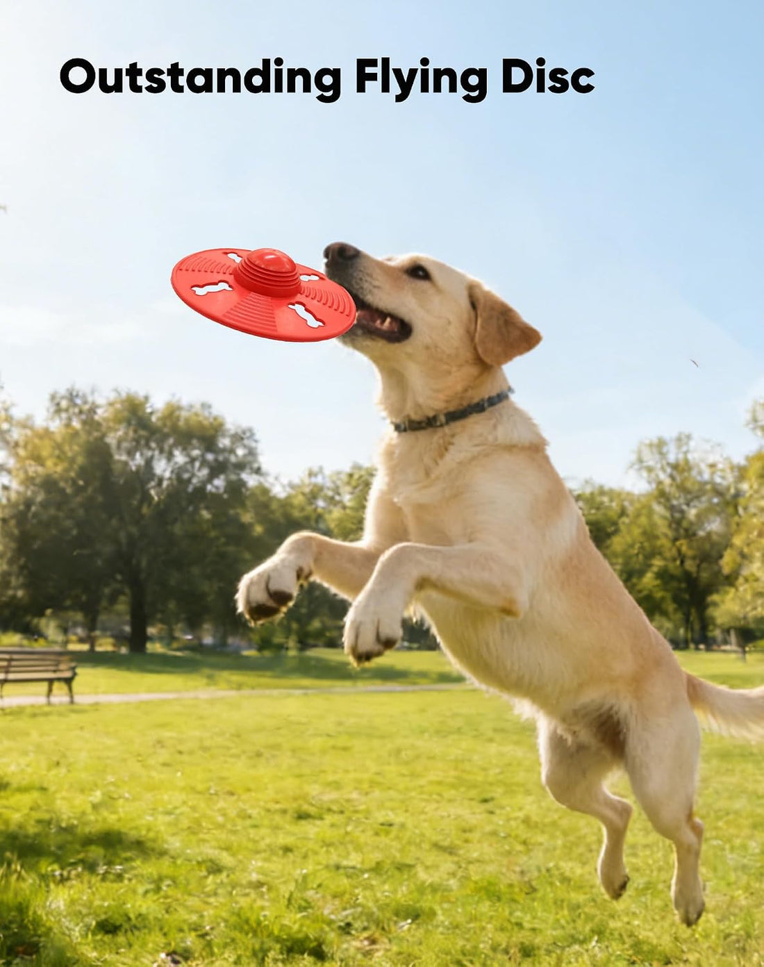 Squeaky Natural Rubber Dog Flying Disc/Frisbee/Flyer with Black Ball