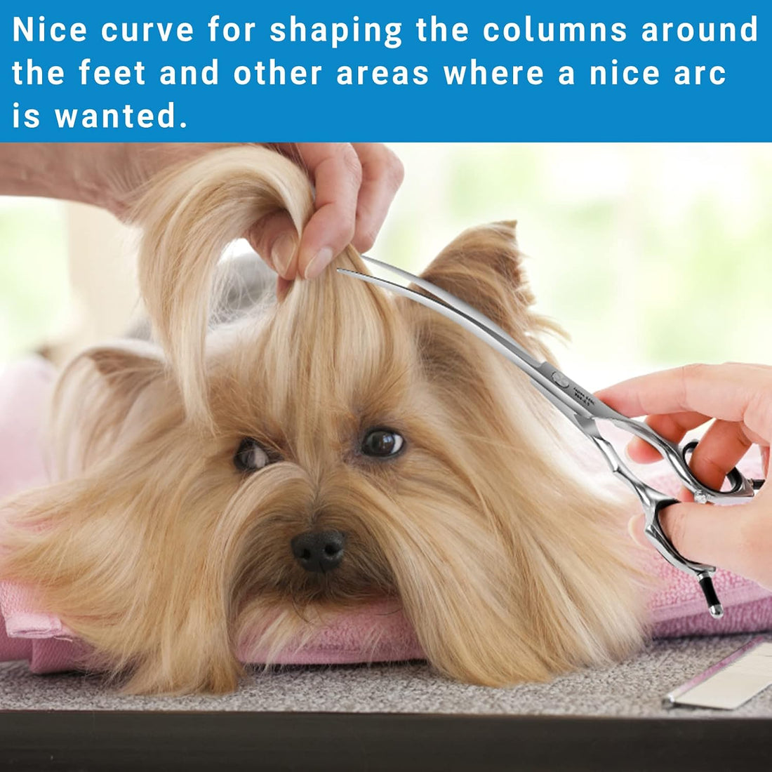 HASHIMOTO Dog Grooming Scissors, Curved Scissors for Dog Grooming
