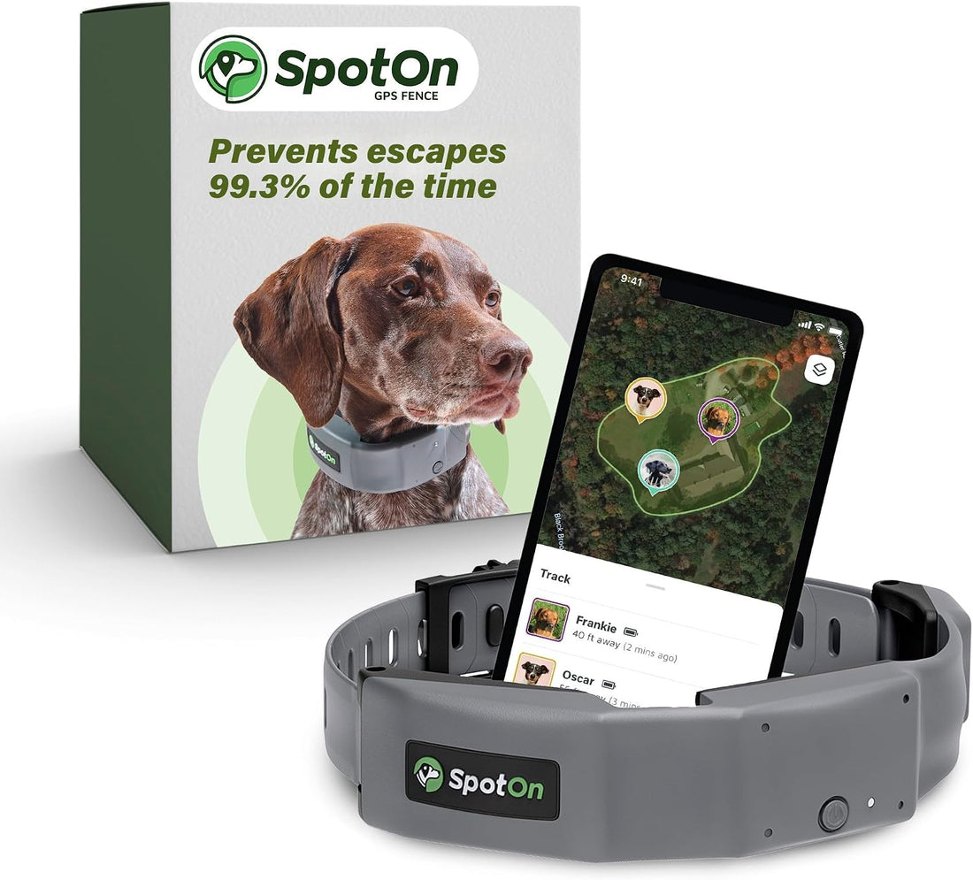 SpotOn Omni GPS Dog Fence Collar, Medium Dogs 12-18 Inch Neck
