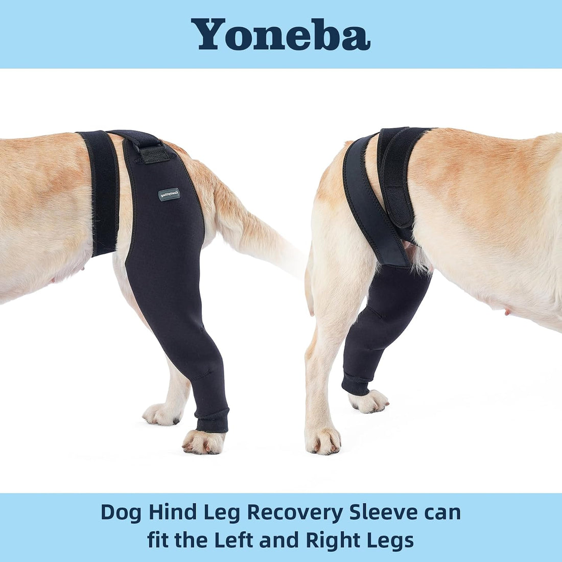 Single Dog Rear Leg Sleeve to Stop Licking