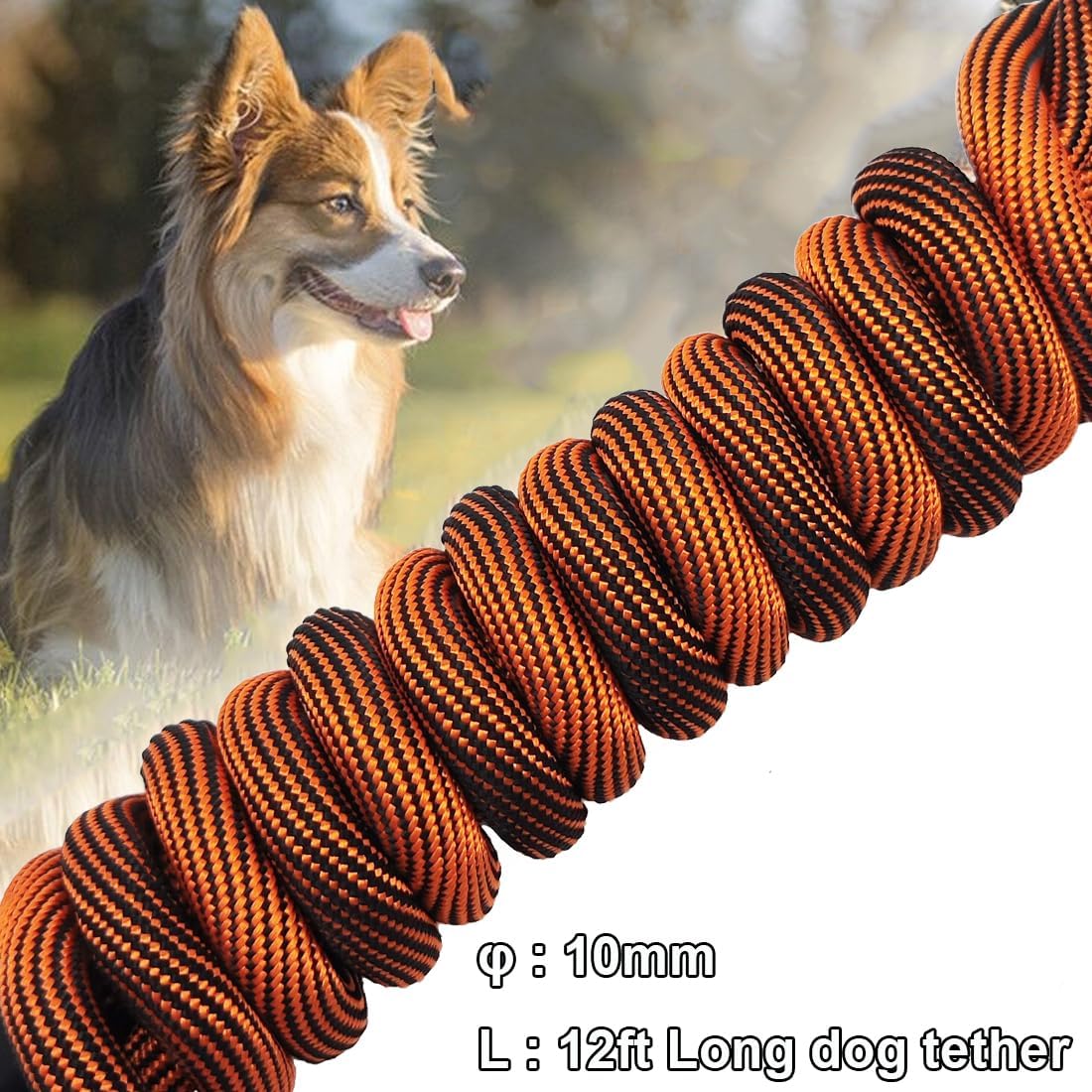 BTINESFUL Dog Tie Out, Check Cord Long Tether Rope Leash