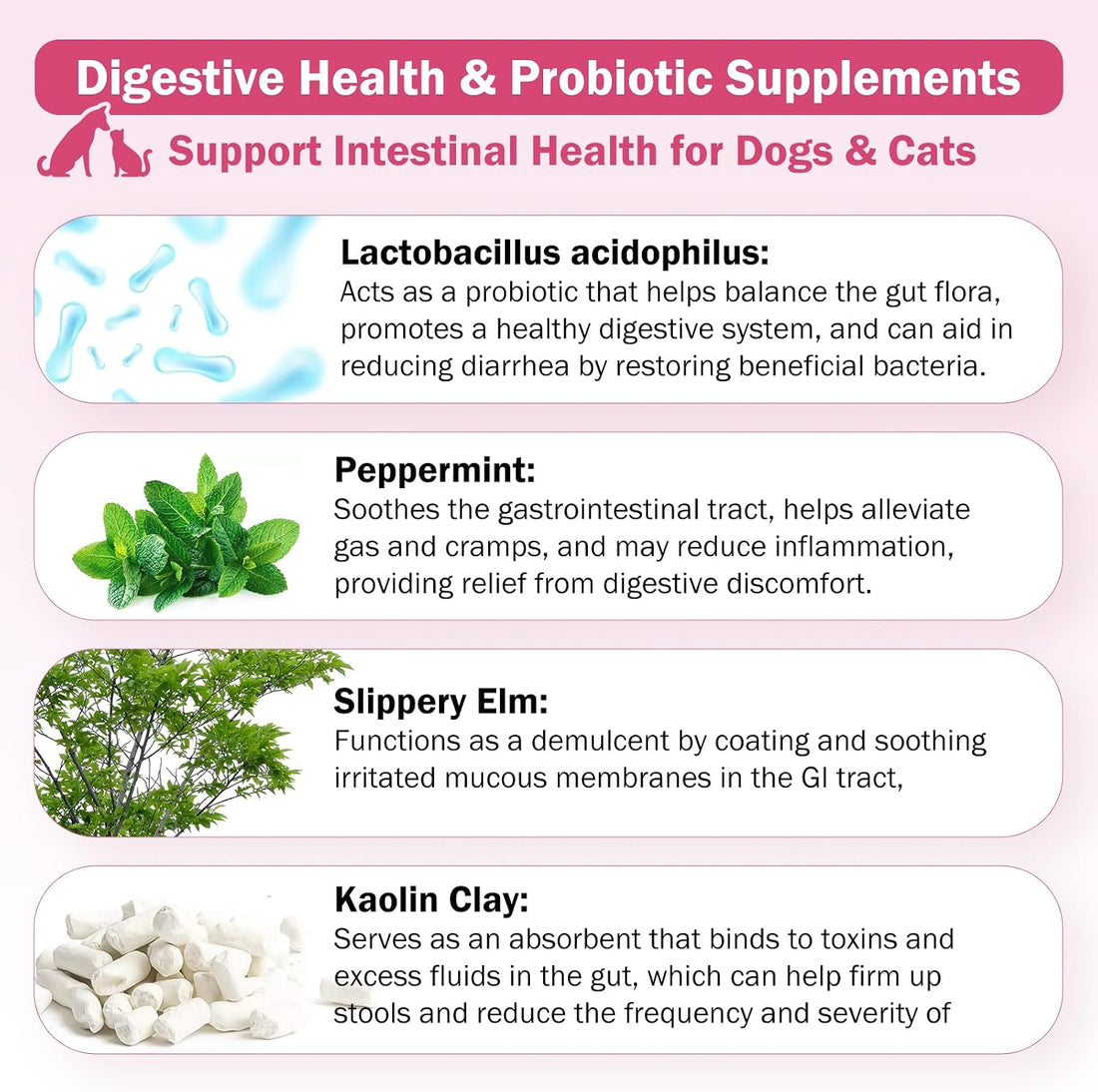 Anti-Diarrheal Support for Dogs & Cats Probiotics 250 Chewable Tablets