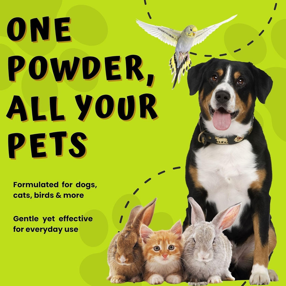 PetEyez Styptic Powder for Dogs, Cats & Birds