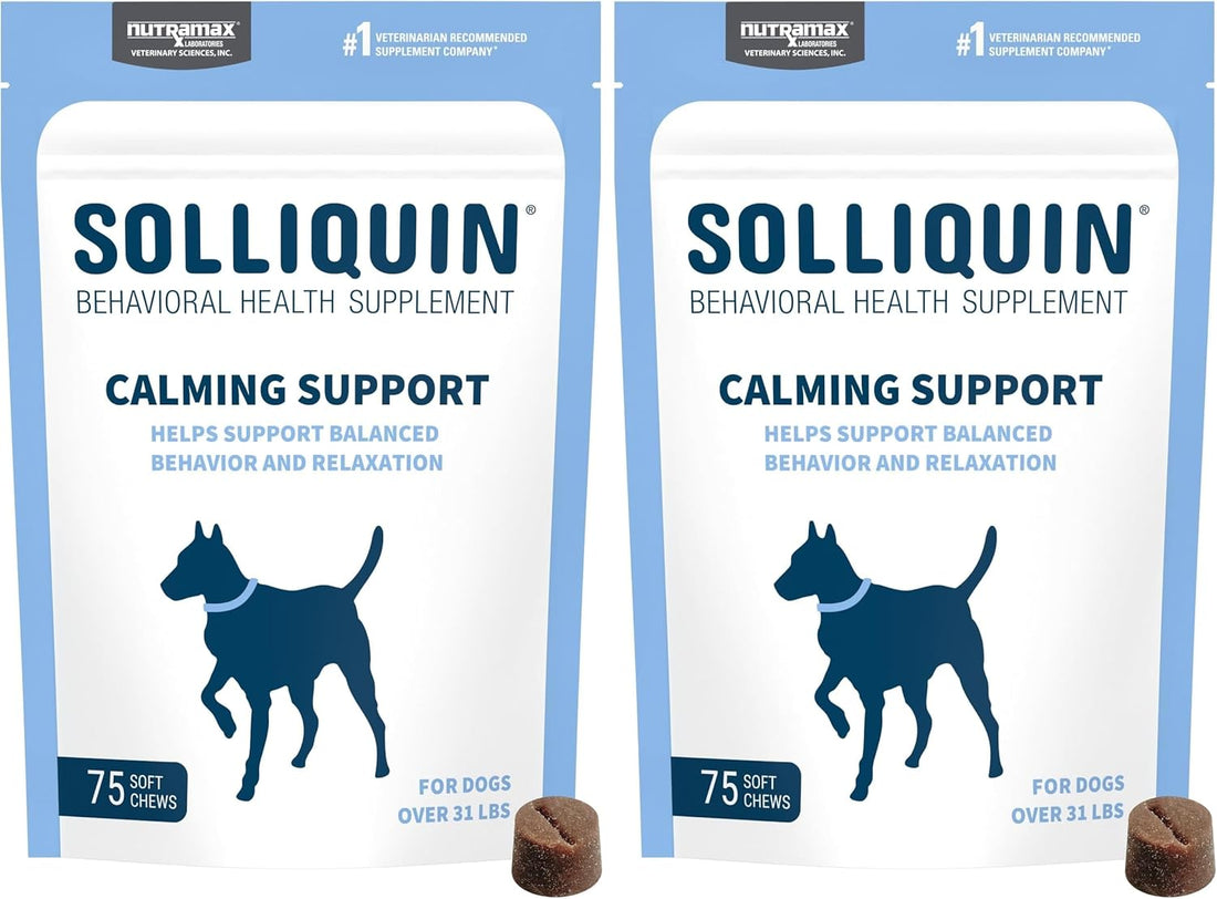 Nutramax Solliquin Calming Behavioral Health Supplement for Small