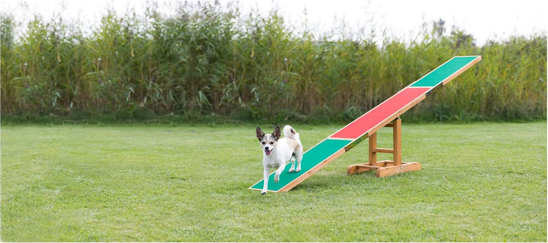 TRIXIE Agility Dog Seesaw with Contact Zones