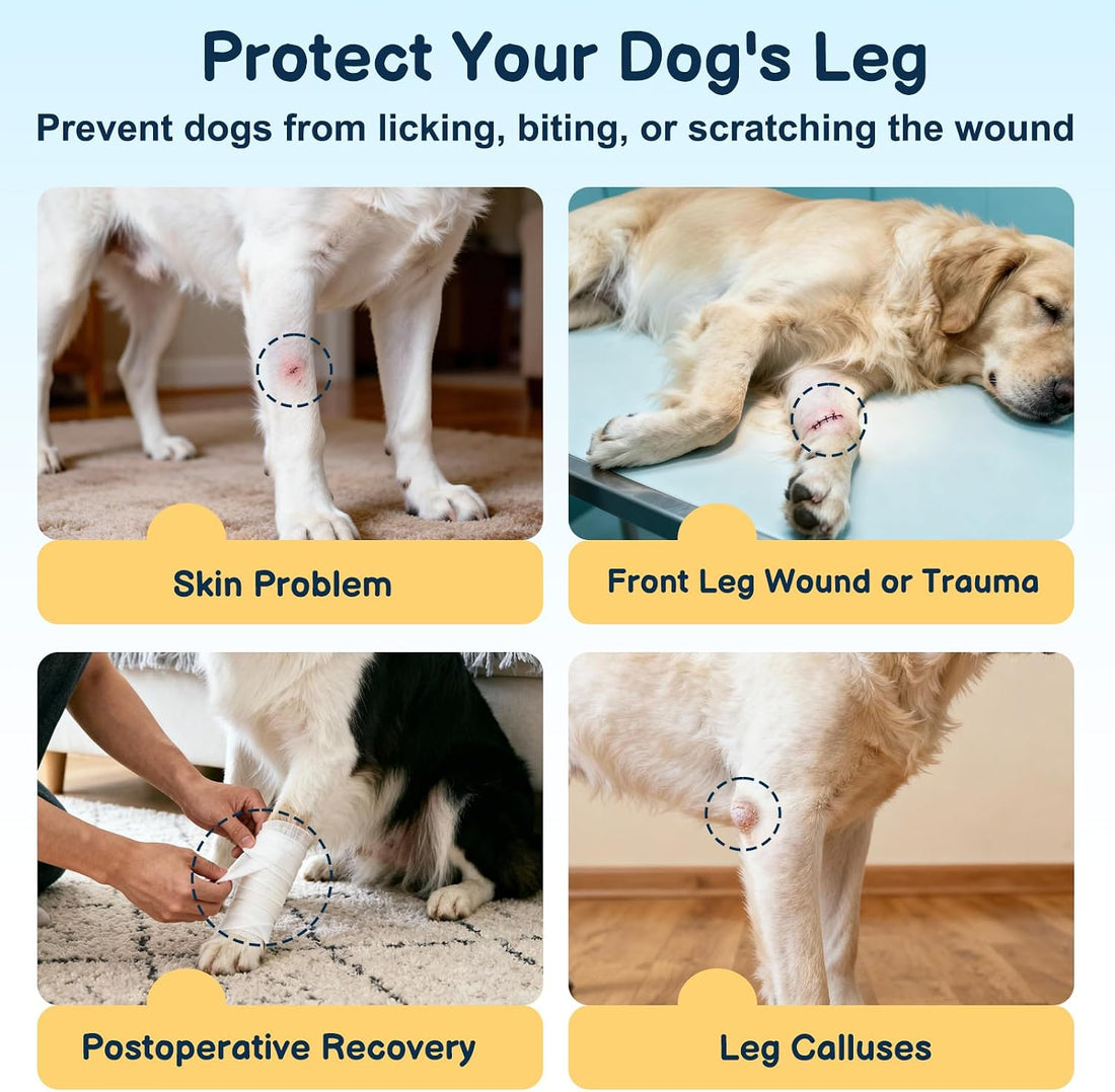 BARKLESS Dog Surgery Recovery Suit for Front Leg