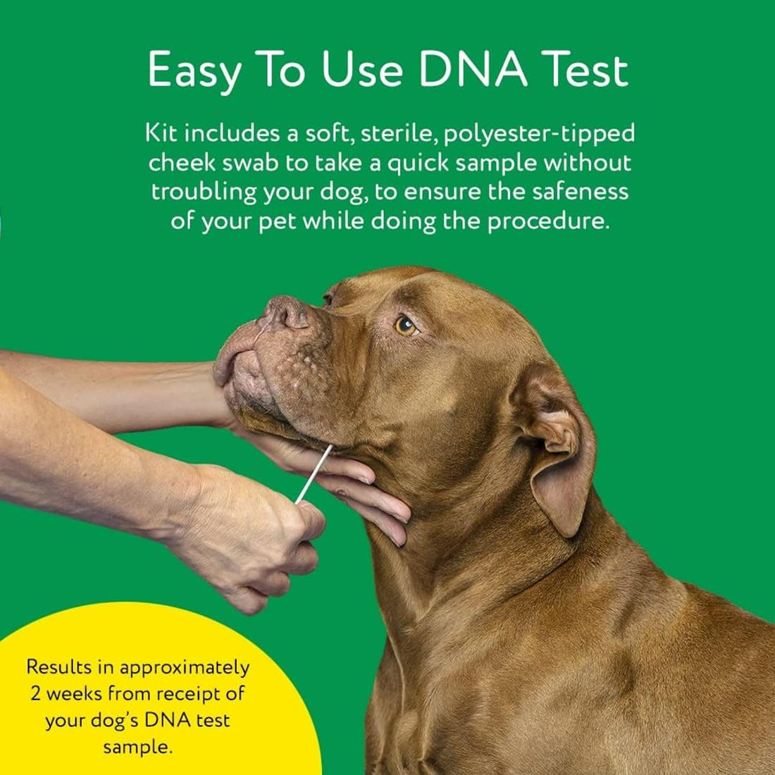DNA MY DOG β Ultimate Health & Breed Bundle