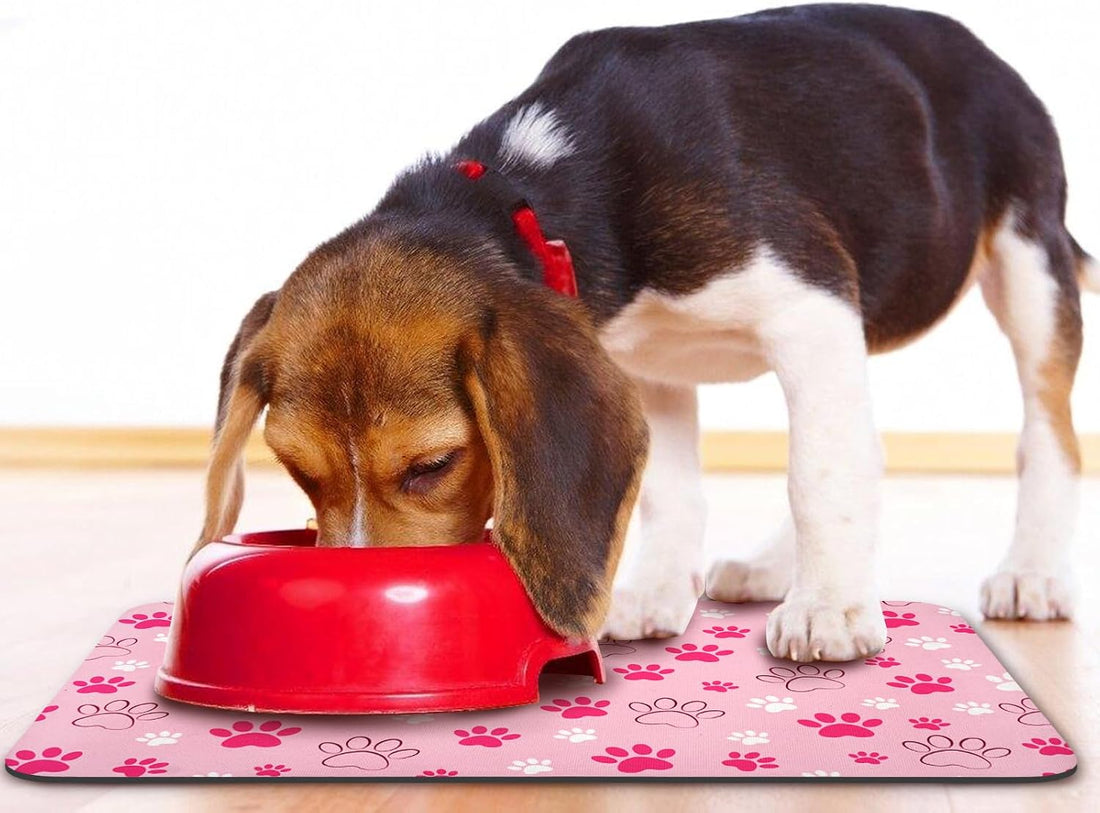 Dog Food Mat, Absorbent Water Bowl Mats Cat Pet Feeding Placemats
