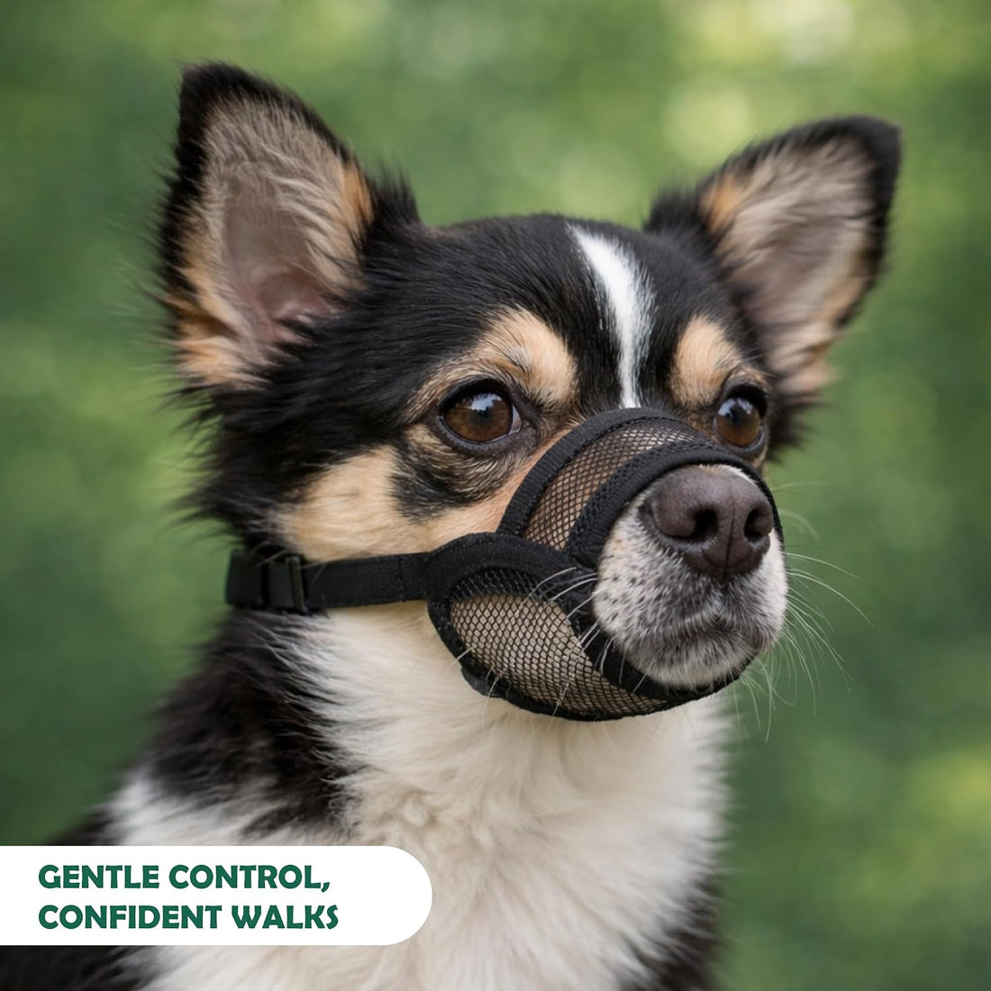Dog Muzzle Medium Sized Dogs