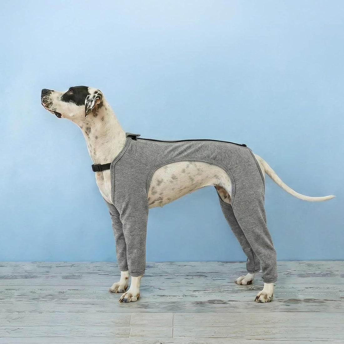 BRKURLEG 4-Leg Dog Recovery Suit, Anti-Licking Surgical Onesie