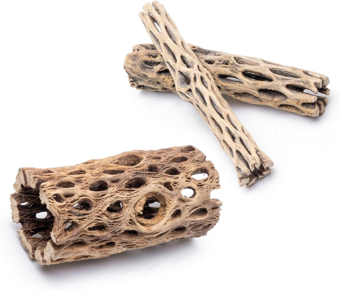 SubstrateSource Natural Cholla Wood - 3PC