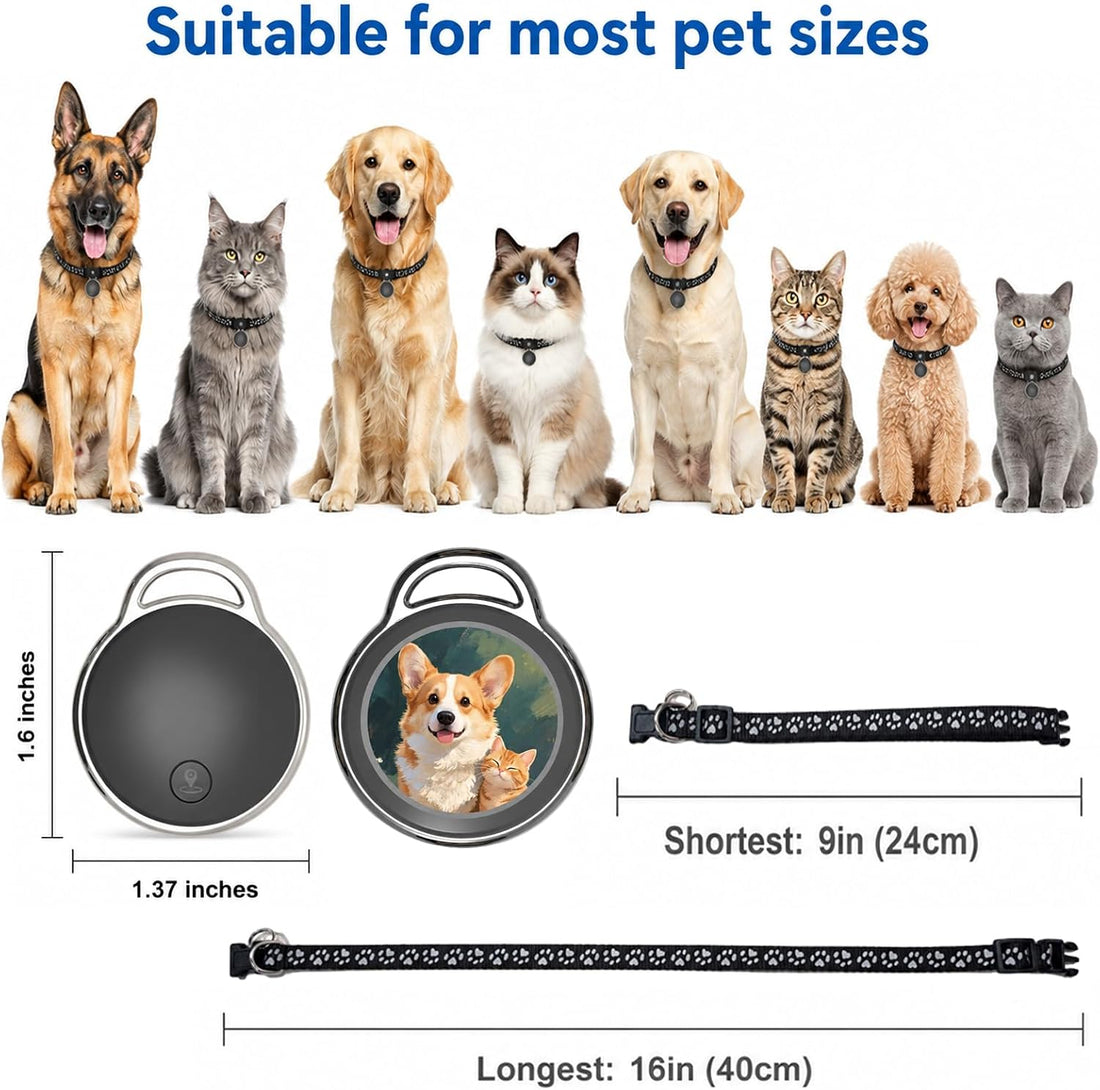 GPS Tracker for Dogs/Cats, Real-Time Tractive GPS Tracker Device